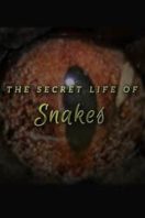 Layarkaca21 LK21 Dunia21 Nonton Film The Secret Life of Snakes (2016) Subtitle Indonesia Streaming Movie Download