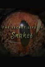 Nonton Film The Secret Life of Snakes (2016) Subtitle Indonesia Streaming Movie Download