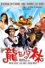 Dragon from Shaolin (1996)