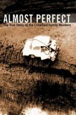 Almost Perfect (2006)