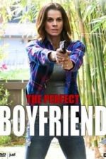 The Perfect Boyfriend (2013)
