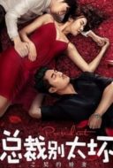 Layarkaca21 LK21 Dunia21 Nonton Film Young President and His Contract Wife (2018) Subtitle Indonesia Streaming Movie Download