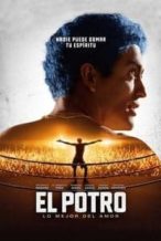 Nonton Film El Potro, lo mejor del amor (2018) Subtitle Indonesia Streaming Movie Download