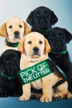 Nonton Film Pick of the Litter (2019) Subtitle Indonesia Streaming Movie Download