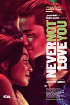 Nonton Film Never Not Love You (2018) Subtitle Indonesia Streaming Movie Download