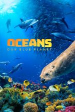 Oceans: Our Blue Planet (2012)
