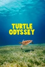 Nonton Film Turtle Odyssey (2018) Subtitle Indonesia Streaming Movie Download