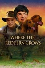 Nonton Film Where the Red Fern Grows (2003) Subtitle Indonesia Streaming Movie Download