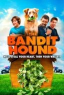 Layarkaca21 LK21 Dunia21 Nonton Film The Bandit Hound (2016) Subtitle Indonesia Streaming Movie Download