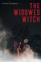 Nonton Film The Widowed Witch (2017) Subtitle Indonesia Streaming Movie Download