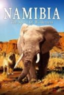 Layarkaca21 LK21 Dunia21 Nonton Film Namibia – The Spirit of Wilderness (2016) Subtitle Indonesia Streaming Movie Download