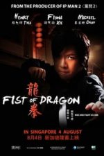 Fist of Dragon (2011)
