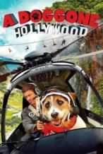 Nonton Film A Doggone Hollywood (2017) Subtitle Indonesia Streaming Movie Download