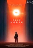 Layarkaca21 LK21 Dunia21 Nonton Film True North (2020) Subtitle Indonesia Streaming Movie Download