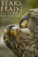 Layarkaca21 LK21 Dunia21 Nonton Film Beak & Brain – Genius Birds from Down Under (2013) Subtitle Indonesia Streaming Movie Download