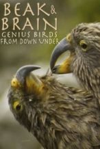 Nonton Film Beak & Brain – Genius Birds from Down Under (2013) Subtitle Indonesia Streaming Movie Download