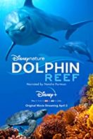 Layarkaca21 LK21 Dunia21 Nonton Film Dolphin Reef (2018) Subtitle Indonesia Streaming Movie Download
