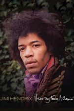 Jimi Hendrix: Hear My Train a Comin’ (2013)
