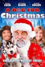 Nonton Film A Dog for Christmas (2015) Subtitle Indonesia Streaming Movie Download
