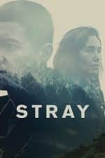 Stray (2018)