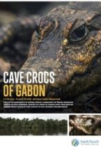 Nonton Film Cave Crocs of Gabon (2018) Subtitle Indonesia Streaming Movie Download