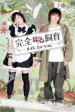 Perfect Education: Maid, for You (2010)