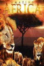 Amazing Africa 3D (2011)