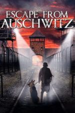Escape from Auschwitz (2020)