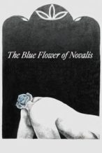 Nonton Film The Blue Flower of Novalis (2018) Subtitle Indonesia Streaming Movie Download