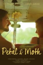 Petal & Moth (2019)