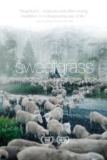 Sweetgrass (2009)