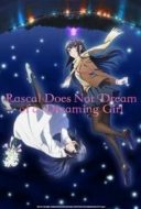 Layarkaca21 LK21 Dunia21 Nonton Film Rascal Does Not Dream of a Dreaming Girl (2019) Subtitle Indonesia Streaming Movie Download
