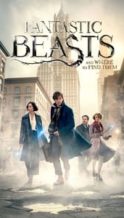 Nonton Film Fantastic Beasts and Where to Find Them (2016) Subtitle Indonesia Streaming Movie Download
