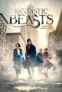 Layarkaca21 LK21 Dunia21 Nonton Film Fantastic Beasts and Where to Find Them (2016) Subtitle Indonesia Streaming Movie Download