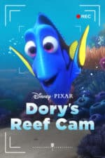 Dory’s Reef Cam (2020)