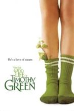 Nonton Film The Odd Life of Timothy Green (2012) Subtitle Indonesia Streaming Movie Download