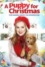 Nonton Film A Puppy for Christmas (2016) Subtitle Indonesia Streaming Movie Download