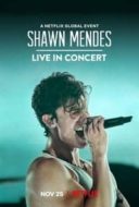 Layarkaca21 LK21 Dunia21 Nonton Film Shawn Mendes: Live in Concert (2020) Subtitle Indonesia Streaming Movie Download