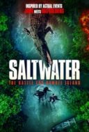 Layarkaca21 LK21 Dunia21 Nonton Film Saltwater: The Battle for Ramree Island (2021) Subtitle Indonesia Streaming Movie Download