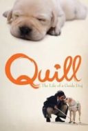 Layarkaca21 LK21 Dunia21 Nonton Film Quill:  The Life of a Guide Dog (2004) Subtitle Indonesia Streaming Movie Download