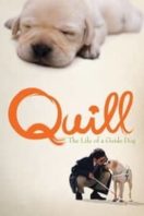 Layarkaca21 LK21 Dunia21 Nonton Film Quill:  The Life of a Guide Dog (2004) Subtitle Indonesia Streaming Movie Download