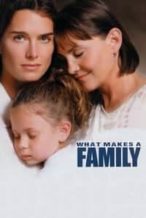 Nonton Film What Makes a Family (2001) Subtitle Indonesia Streaming Movie Download