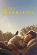 Layarkaca21 LK21 Dunia21 Nonton Film The Starling (2021) Subtitle Indonesia Streaming Movie Download