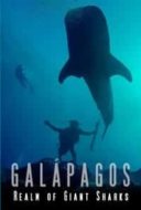 Layarkaca21 LK21 Dunia21 Nonton Film Galapagos Realm Of Giant Sharks (2012) Subtitle Indonesia Streaming Movie Download