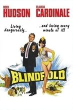 Nonton Film Blindfold (1966) Subtitle Indonesia Streaming Movie Download