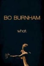 Nonton Film Bo Burnham: What. (2013) Subtitle Indonesia Streaming Movie Download