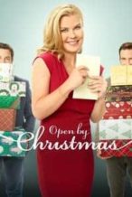 Nonton Film Open by Christmas (2021) Subtitle Indonesia Streaming Movie Download