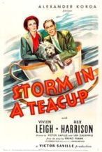 Nonton Film Storm in a Teacup (1937) Subtitle Indonesia Streaming Movie Download