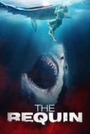 Layarkaca21 LK21 Dunia21 Nonton Film The Requin (2022) Subtitle Indonesia Streaming Movie Download