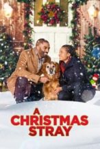 Nonton Film A Christmas Stray (2021) Subtitle Indonesia Streaming Movie Download